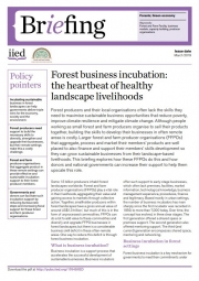 Forest business incubation: the heartbeat of healthy landscape livelihoods